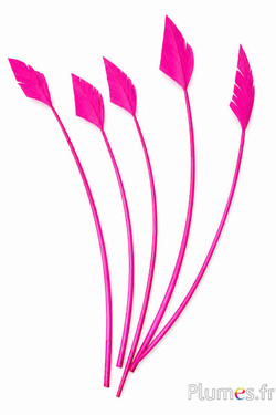 Zwaan pijl - 20-30 cm - pink